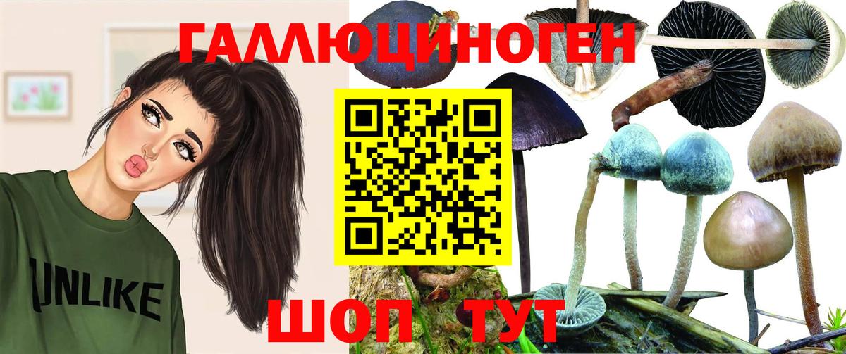 где продают наркотики  Вход с VPN  Галлюциногенные грибы мицелий  Железногорск  Галлюциногенные грибы Magic Shrooms 